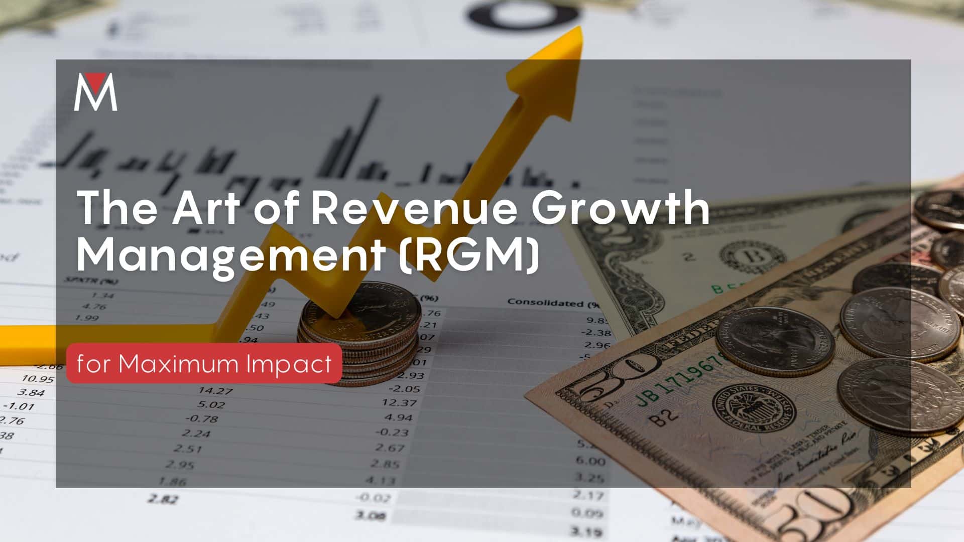 The Art of Revenue Growth Management (RGM) for Maximum Impact